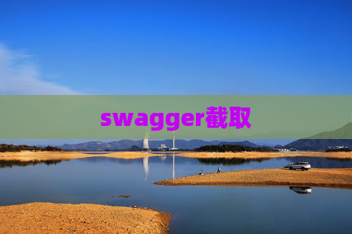 swagger截取